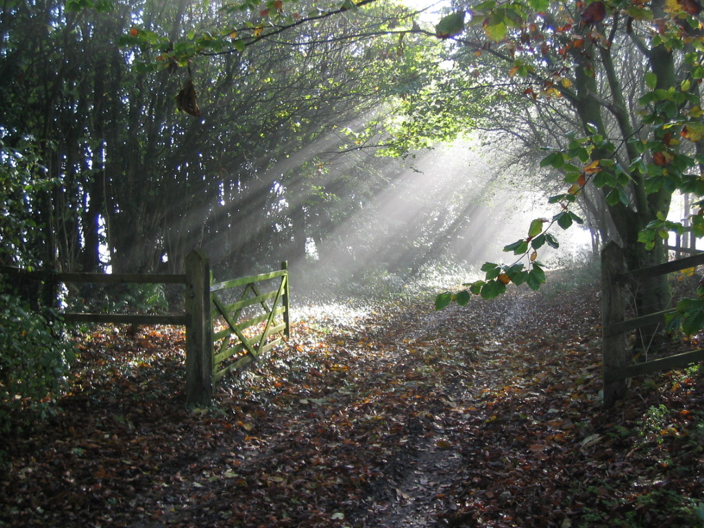 November 2010 Review